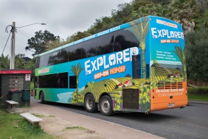 Isla Waiheke: billetes para el ferry y el autobús turístico