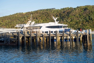 Isla Waiheke: billetes para el ferry y el autobús turístico