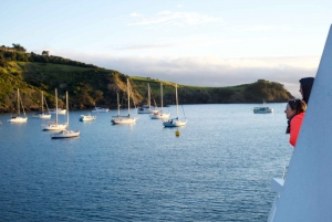 Isla Waiheke: billetes para el ferry y el autobús turístico