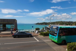 Isla Waiheke: billetes para el ferry y el autobús turístico