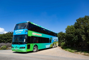 Isla Waiheke: billetes para el ferry y el autobús turístico