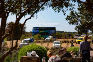 Isla Waiheke: billetes para el ferry y el autobús turístico