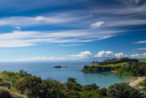 Isla Waiheke: billetes para el ferry y el autobús turístico