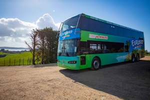 Isla Waiheke: billetes para el ferry y el autobús turístico