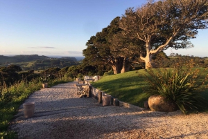 Isla Waiheke: billetes para el ferry y el autobús turístico