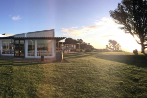 Isla Waiheke: billetes para el ferry y el autobús turístico