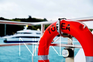 Isla Waiheke: billetes para el ferry y el autobús turístico