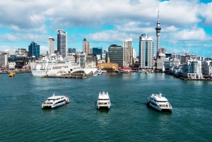 Isla Waiheke: billetes para el ferry y el autobús turístico