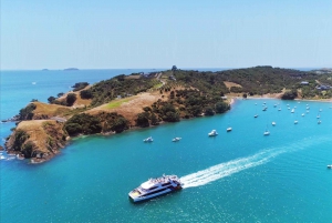 Isla Waiheke: billetes para el ferry y el autobús turístico