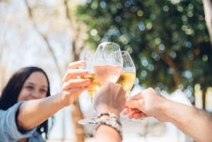 ワイヘケ島：2階建てバスで行くガイド付きワインの試飲ツアー