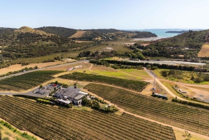 ワイヘケ島：2階建てバスで行くガイド付きワインの試飲ツアー