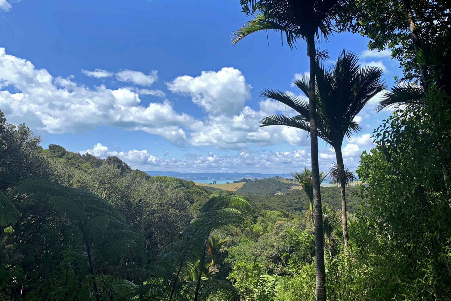 Wyspa Waiheke: 5-dniowy spacer z prywatnym przewodnikiem Te Ara Hura