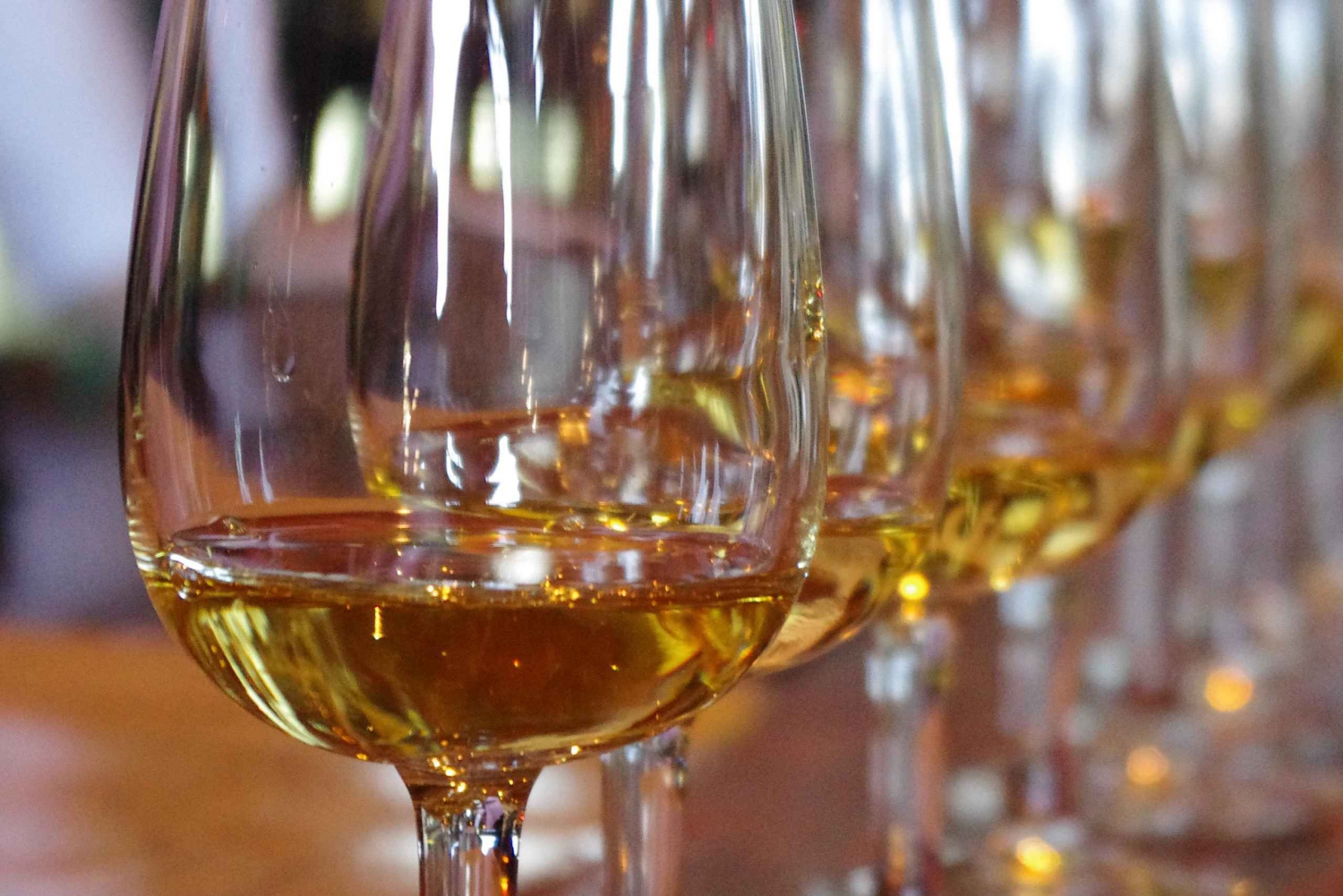 Wycieczki po winnicach na wyspie Waiheke – wina PREMIUM – maks. 11 osób!