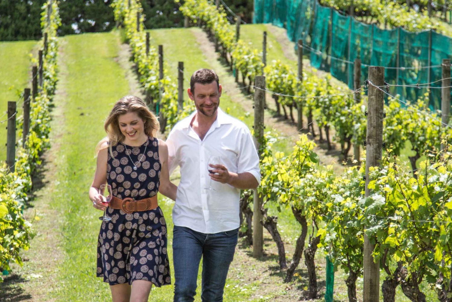 Wyspa Waiheke: The Essence of Waiheke Wine Tour