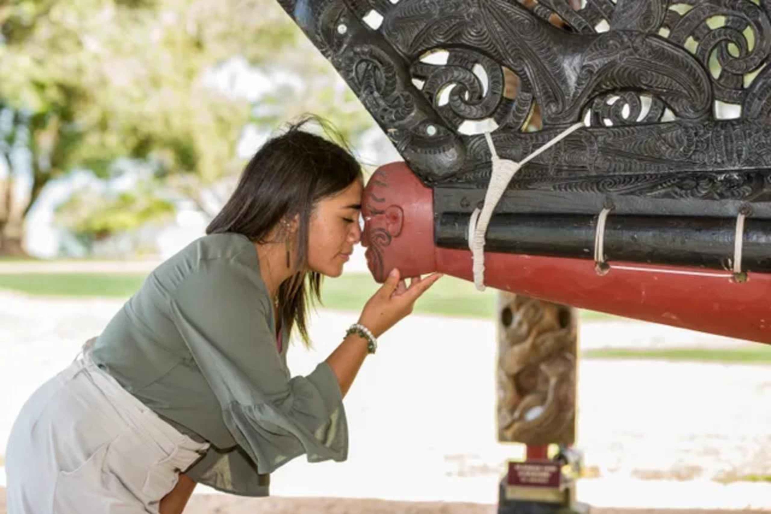 Waitangi Treaty Grounds: wycieczka 1-dniowa z Auckland