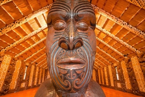Waitangi Treaty Grounds: wycieczka 1-dniowa z Auckland