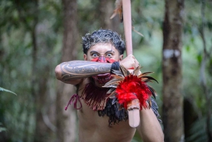 Waitangi Treaty Grounds: wycieczka 1-dniowa z Auckland