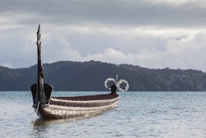 Waitangi Treaty Grounds: wycieczka 1-dniowa z Auckland