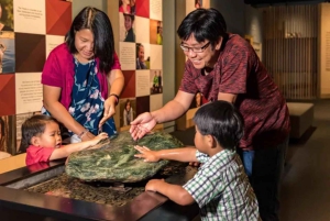 Waitangi Treaty Grounds: wycieczka 1-dniowa z Auckland