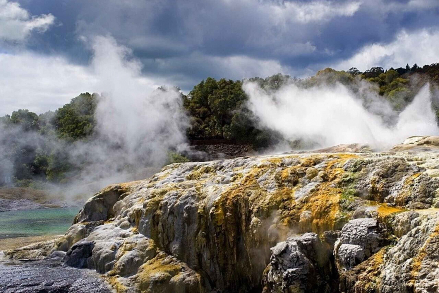 Desde Auckland: Aldea maorí y aguas termales de Rotorua con Haka