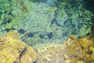 Central Long Island 3 Hour Guided Land Tour