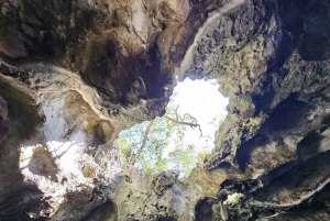 Central Long Island 3 Hour Guided Land Tour