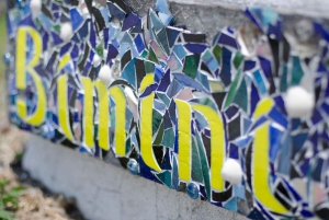 From Fort Lauderdale: Day Trip to Bimini