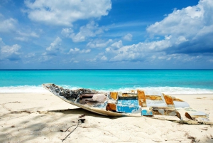 From Fort Lauderdale: Day Trip to Bimini