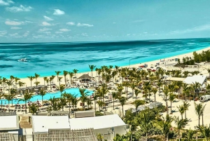 From Fort Lauderdale: Day Trip to Bimini