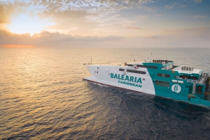 From Fort Lauderdale: Day Trip to Bimini