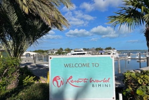 From Miami: Bimini Bahamas Round-Trip Ferry & Hotel Pickup