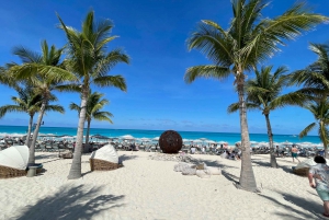 From Miami: Bimini Bahamas Round-Trip Ferry & Hotel Pickup