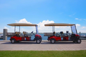 From Miami: Bimini or Grand Bahama Day Trip by Ferry