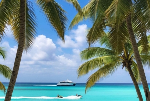 From Miami: Bimini or Grand Bahama Day Trip by Ferry