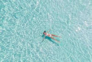 Miami/Ft Lauderdale: Bimini or Grand Bahama Ferry Day Trip