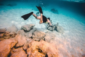 Miami/Ft Lauderdale: Bimini or Grand Bahama Ferry Day Trip