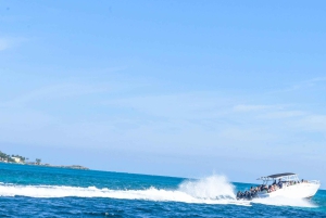 Nassau: 3 Islands Tour, Snorkel, Pig Beach, Turtles & Lunch