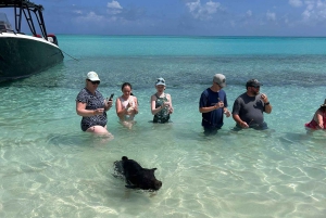 Nassau: 3 Islands Tour, Snorkel, Pig Beach, Turtles & Lunch
