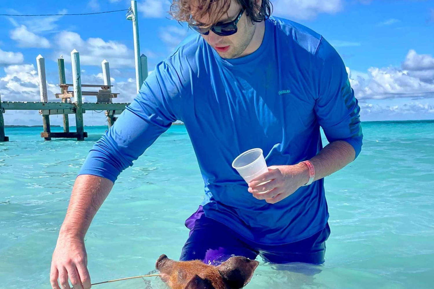 Excursión en quad por Nassau y cerdos nadadores