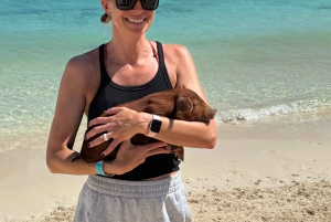 Nassau: Uivat siat ja kilpikonnat -veneretki snorklauksella