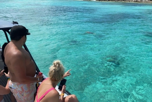 Nassau: Reef Snorkeling, Pigs, and Turtles 3 Islands Tour