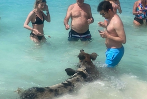 Nassau: Reef Snorkeling, Pigs, and Turtles 3 Islands Tour