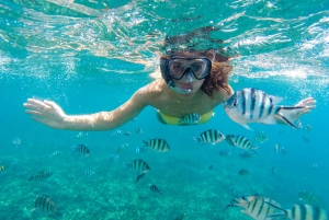 Sea-nic, Sip N' Snorkel puoliksi uppoavalla merialuksella