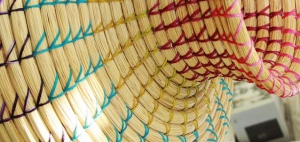 Andros Basket, Bahamas