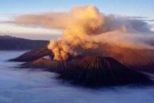 Fra Bali: 3-dagers utflukt til Mount Bromo og Ijen-krateret