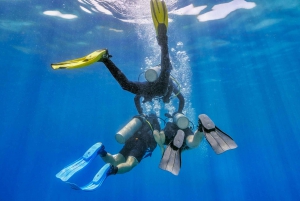 Bali: 3-Day PADI Open Water Diving Course