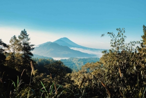 Bali: Mount Batur Sunrise Trek With Guide and Breakfast