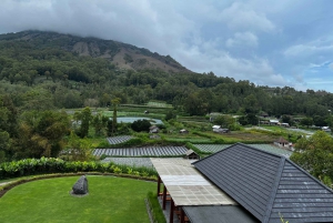 Bali: Mount Batur Sunrise Trek With Guide and Breakfast