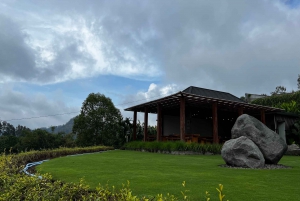 Bali: Mount Batur Sunrise Trek With Guide and Breakfast