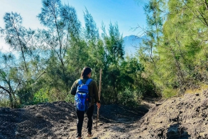 Bali: Wycieczka na wschód słońca na górę Batur ze śniadaniem